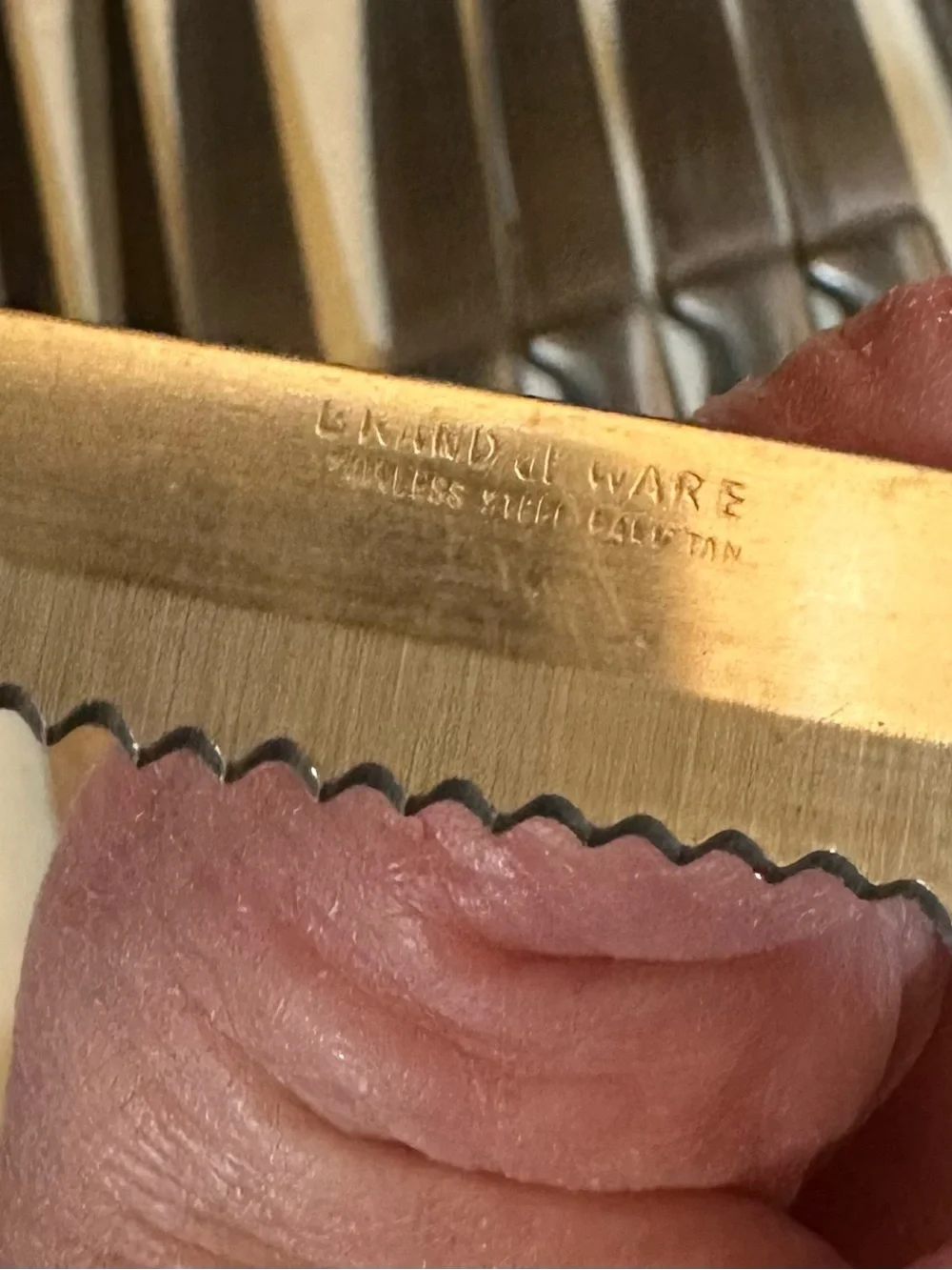 Stainless Steel Steak Knife Set of 10 w/two butter knives
